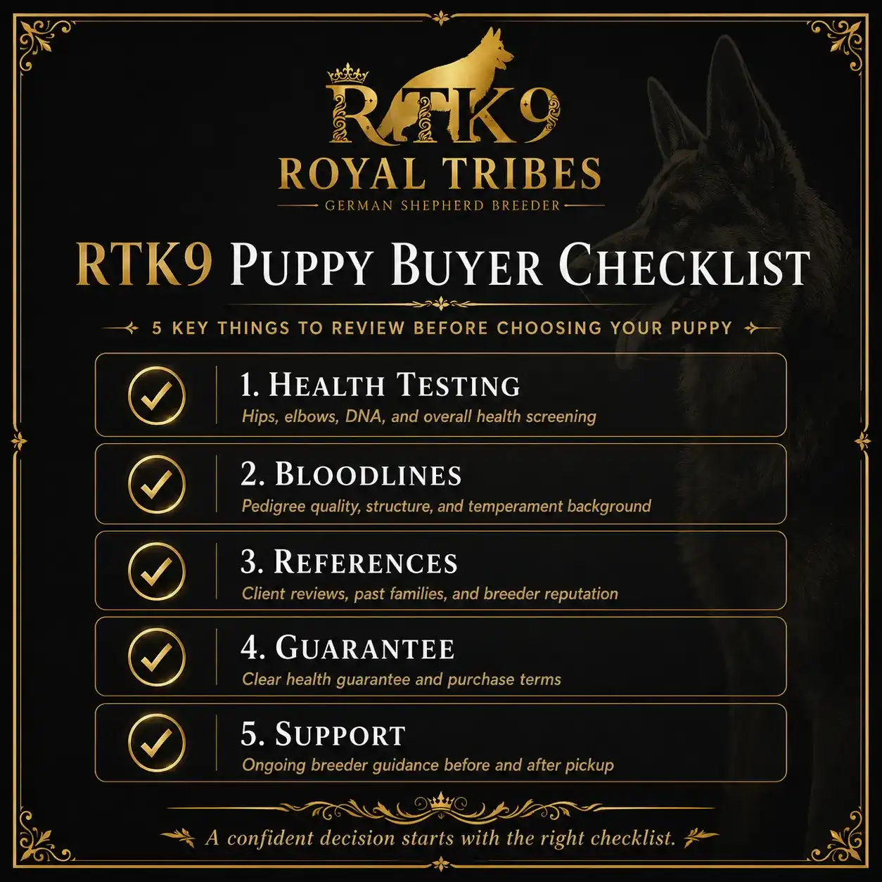German Shepherd puppy care image for Royal Tribes K9 educational content 0349
