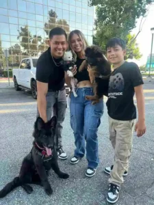 German Shepherd for families