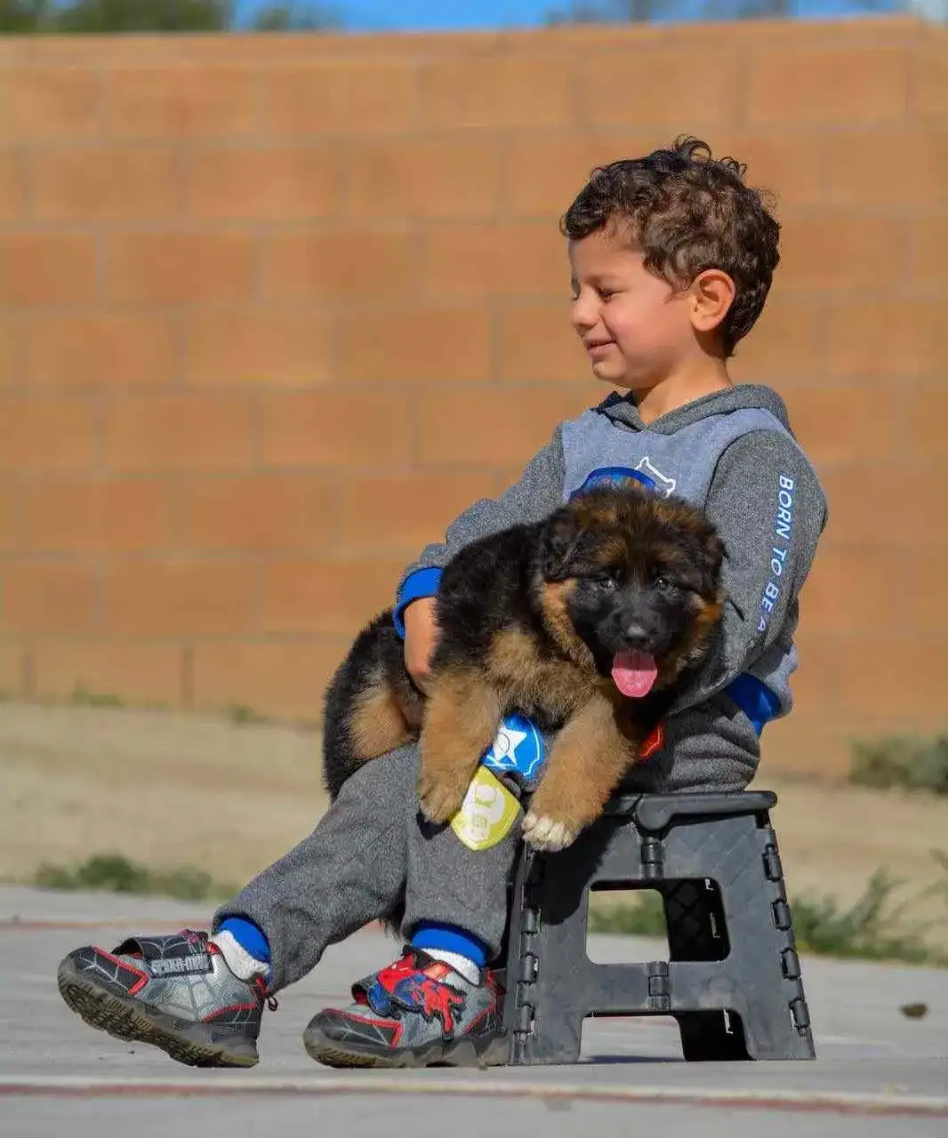 Child sitting beside a German Shepherd puppy outdoors