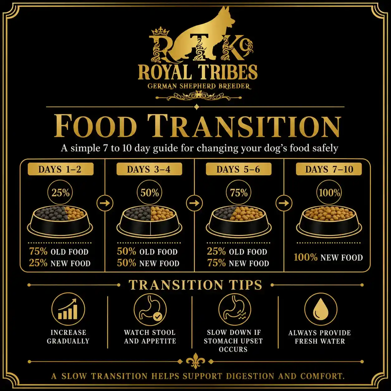 German Shepherd puppy care image for Royal Tribes K9 educational content 0356