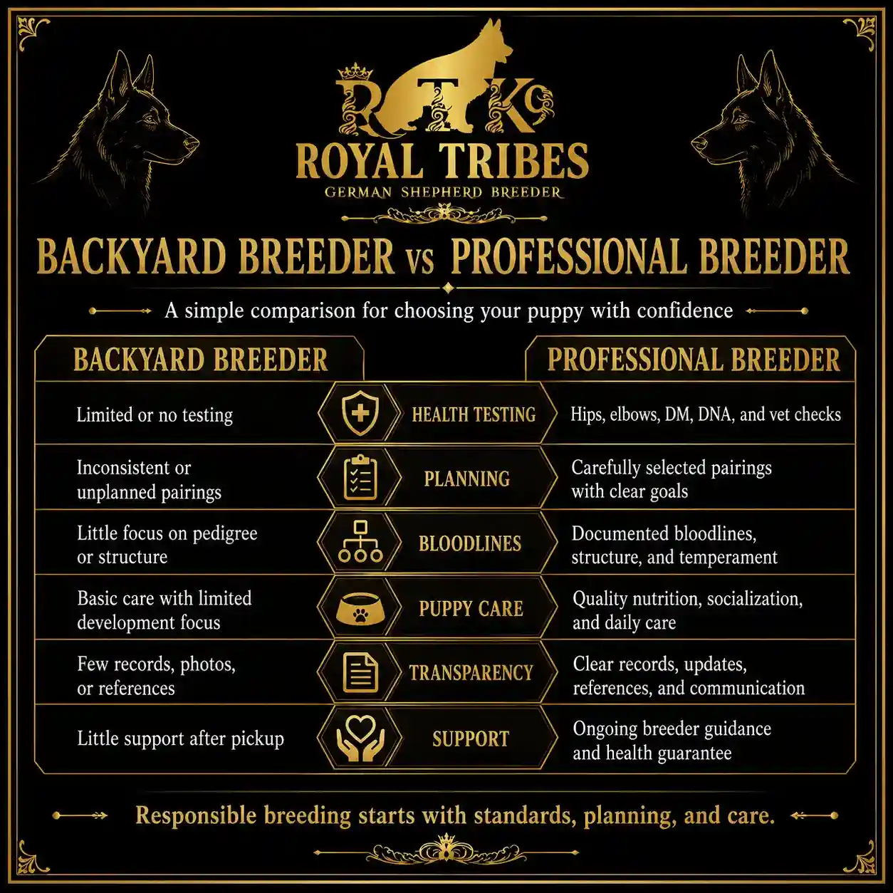 German Shepherd puppy care image for Royal Tribes K9 educational content 0365