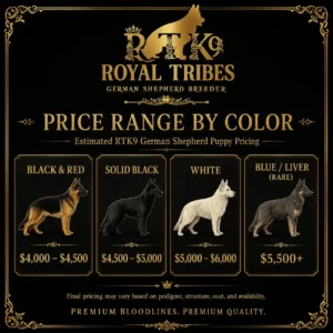German Shepherd puppy cost by color and coat type in 2026