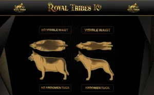 German Shepherd Weight