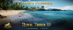 Best German Shepherd Breeder Tampa Florida