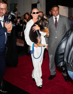 Sydney Sweeny Red Carpet with Sully Bear - Long Hair German Shepherd Puppy