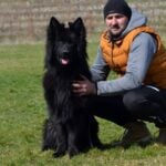 2753E6 727D3D45E0904F0Eb7E58Ced124C082Bmv2 German Shepherd puppy image by Royal Tribes K9 0015