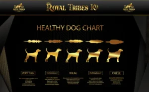 German Shepherd Weight