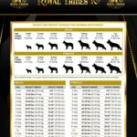 German Shepherd puppy care image for Royal Tribes K9 educational content 0009