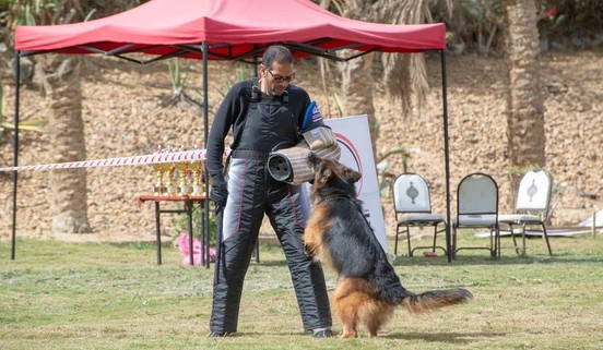 German Shepherd puppy care image for Royal Tribes K9 educational content 0018