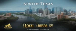 Best German Shepherd Breeder Austin Texas