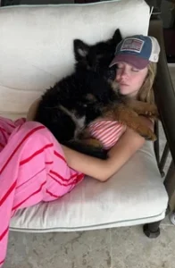 Black and Red German Shepherd puppy