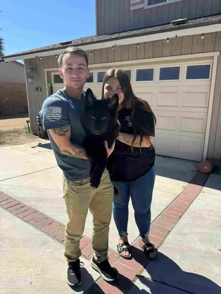 Family Raised German Shepherd – Best Place To Buy German Shepherd puppy image by Royal Tribes K9 1229 in Los Feliz