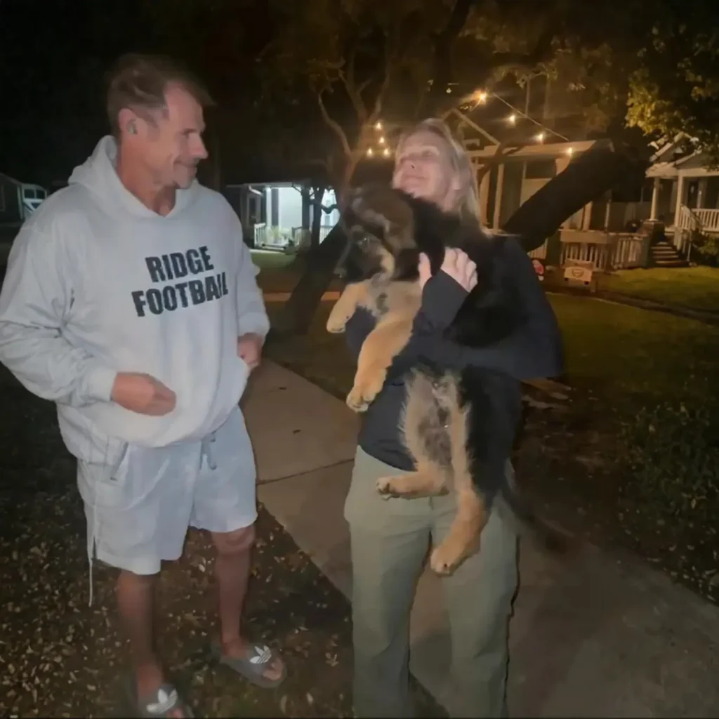 Royal Tribes K9 German Shepherd family companion image 0028