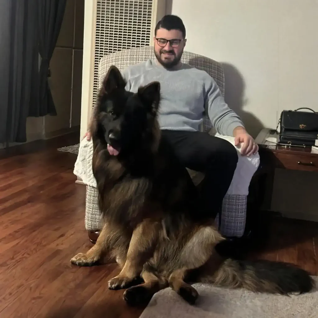 Royal Tribes K9 German Shepherd family companion image 0004