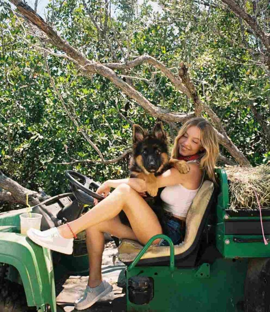 Sydney Sweeney Smiling With Her Long Hair German German Shepherd puppy image by Royal Tribes K9 1754