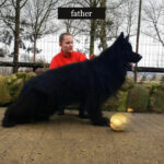 ADMIRAL z Siedliska Tim German Shepherd sire profile photo 01 for Royal Tribes K9 pedigree content